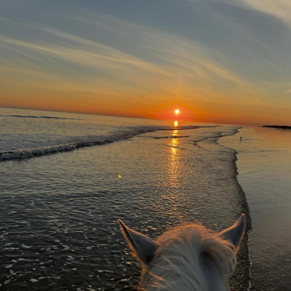 plage-soleil