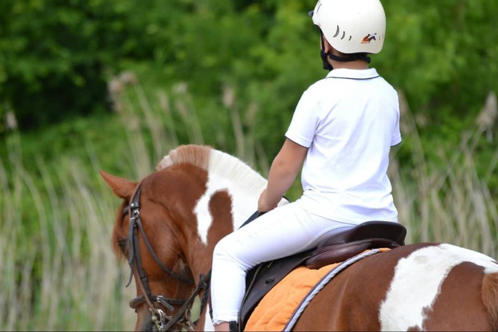 Cours d'équitation près de Saint-Urbain
