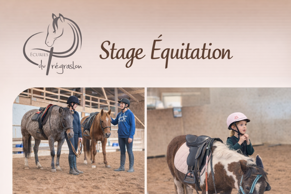 Stage équitation Saint jean de monts