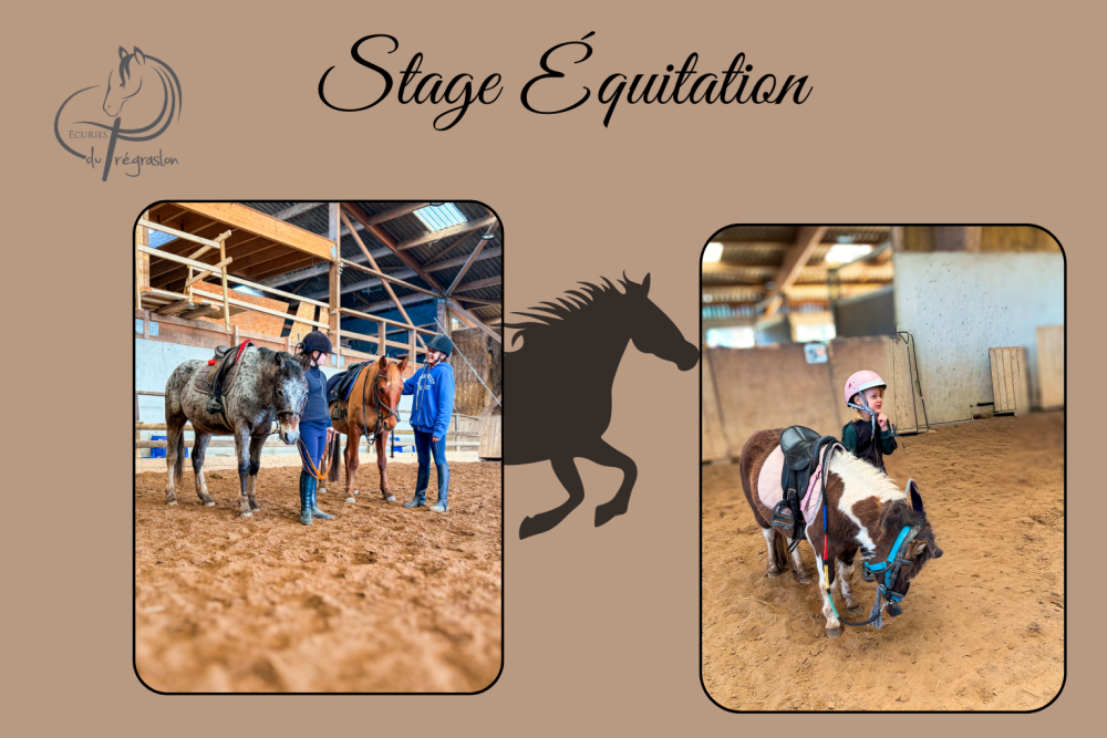Nos Stages d’Équitation